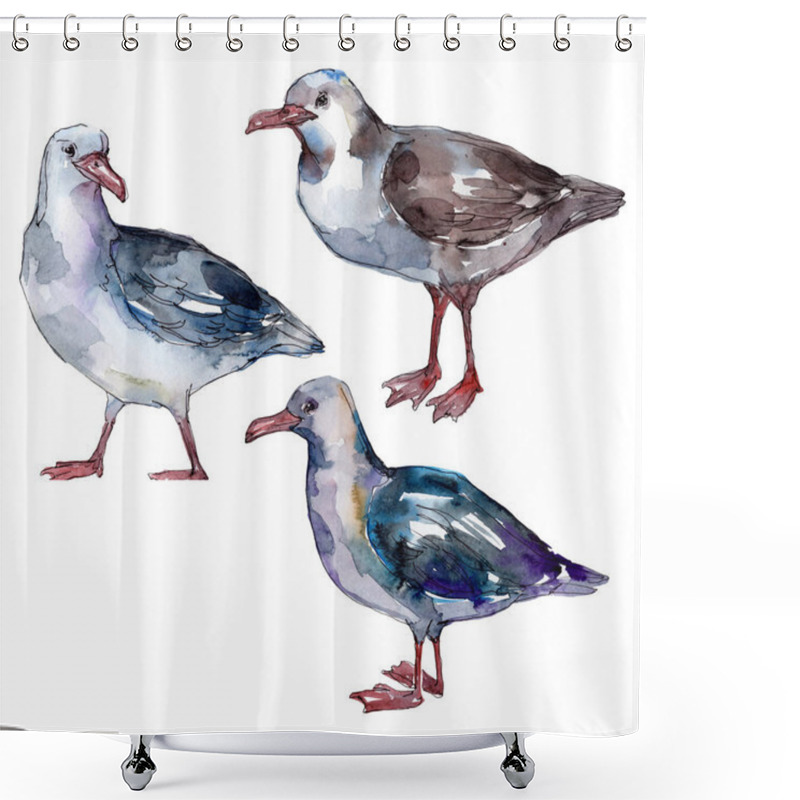 Personality  Sky Bird Seagull In A Wildlife. Wild Freedom, Bird With A Flying Wings. Watercolor Background Illustration Set. Watercolour Drawing Fashion Aquarelle. Isolated Gull Illustration Element. Shower Curtains