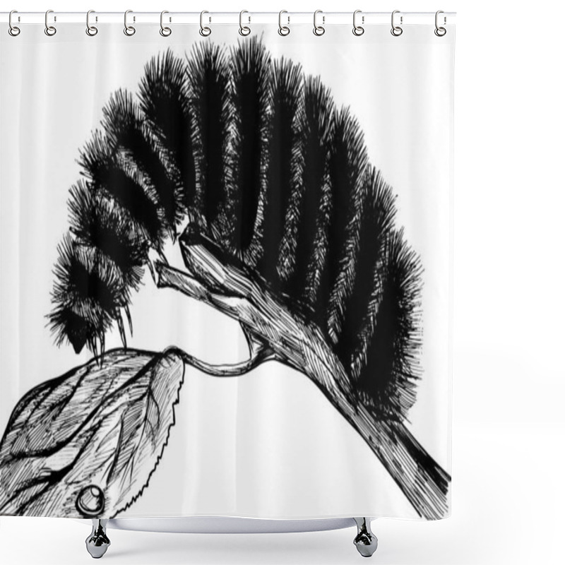 Personality  Fuzzy Caterpillar Black Ink Illustration Shower Curtains