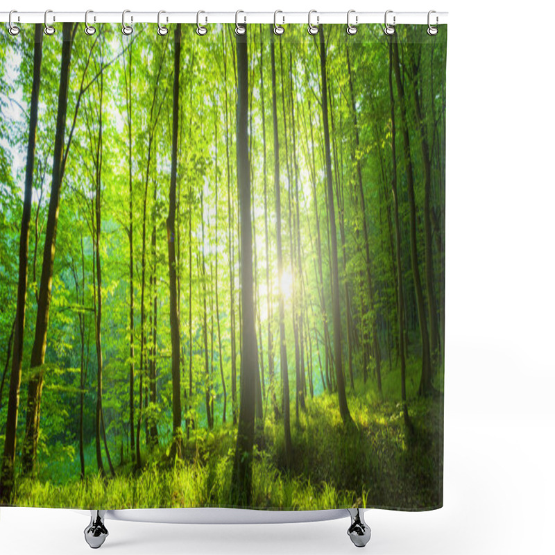 Personality  Sunlight In The Green Forest, Spring Time Shower Curtains