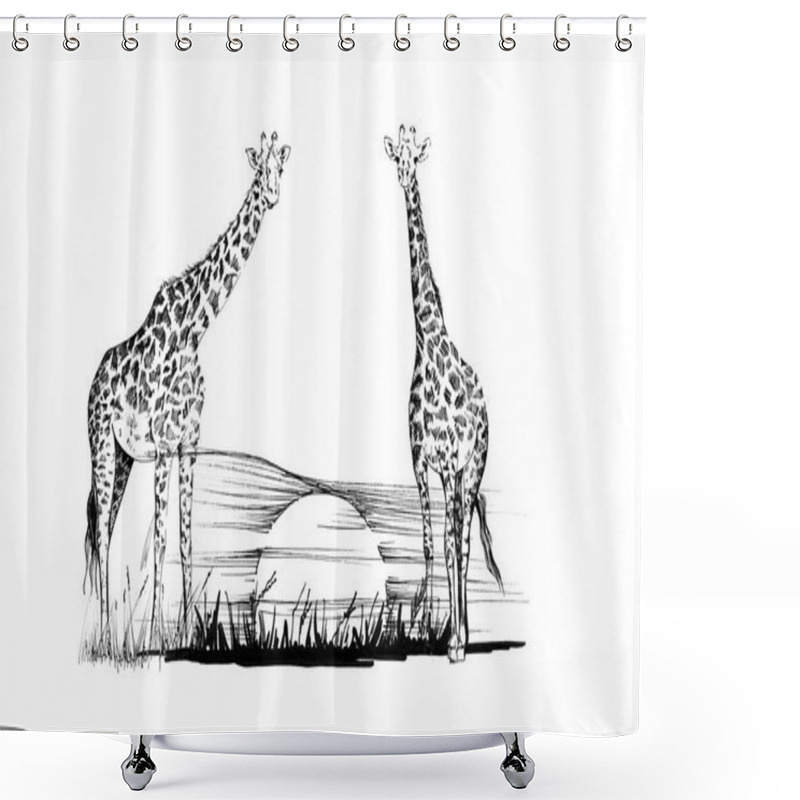 Personality  Two Giraffe On Sunset. Hand Drawn Illustration. Collection Of Hand Drawn Illustrations (originals, No Tracing) Shower Curtains