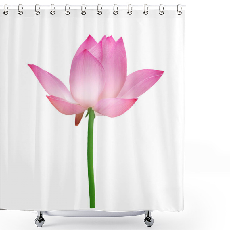 Personality  Single Lotus Isolated On White Shower Curtains