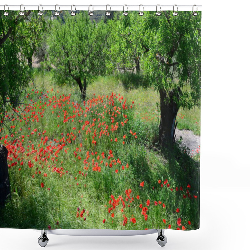 Personality  Close-up View Of Beautiful Wild Poppy Flowers Shower Curtains