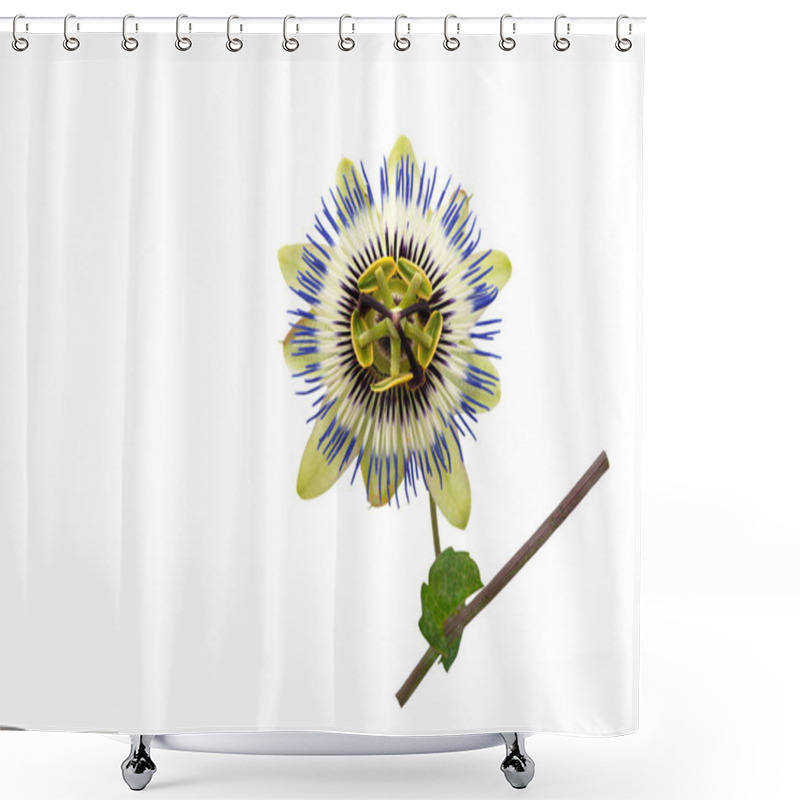 Personality  Blue Passion Flower Isolated On A White Background. Shower Curtains