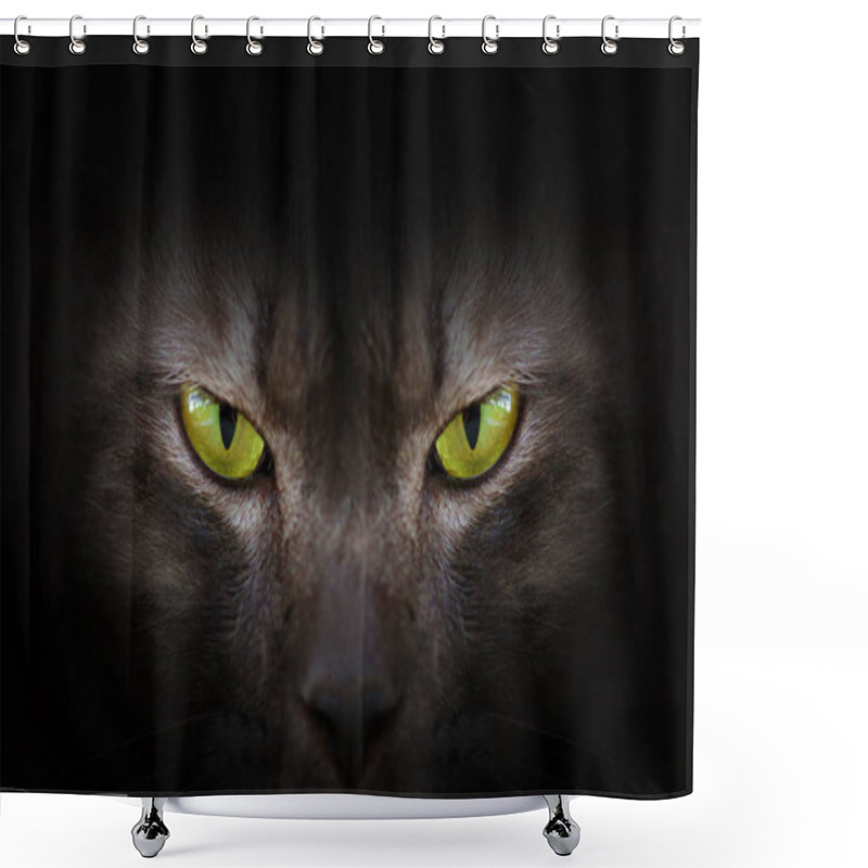 Personality  Eyes Of Black Cat In Dark, Hypnotic Cat Eyes Shower Curtains