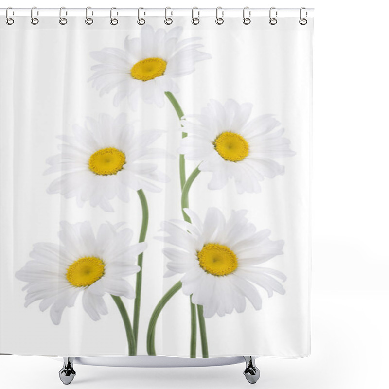 Personality  Daisy Shower Curtains