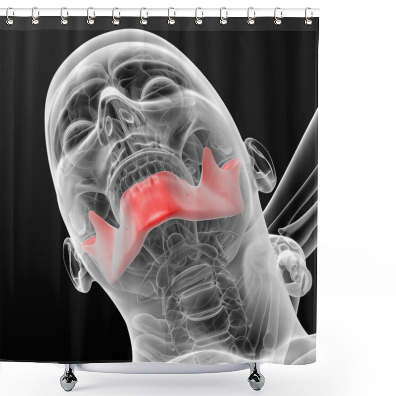 Personality  Jaw Bone Shower Curtains