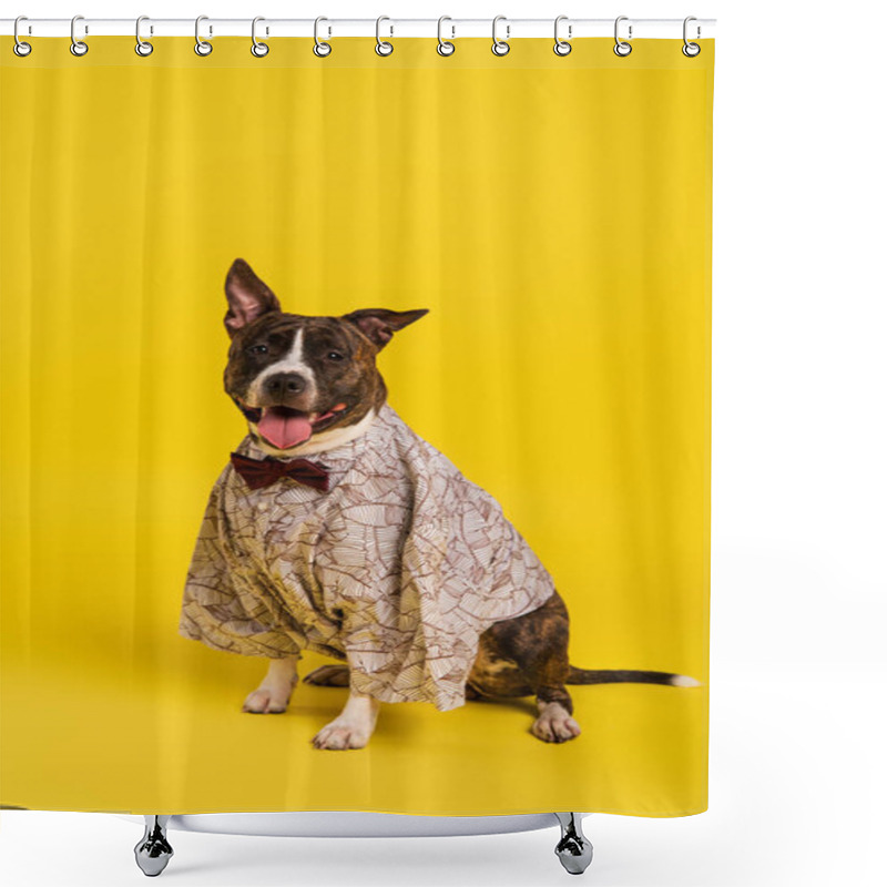 Personality  Purebred Staffordshire Bull Terrier In Cape With Bow Tie Sitting On Yellow Shower Curtains