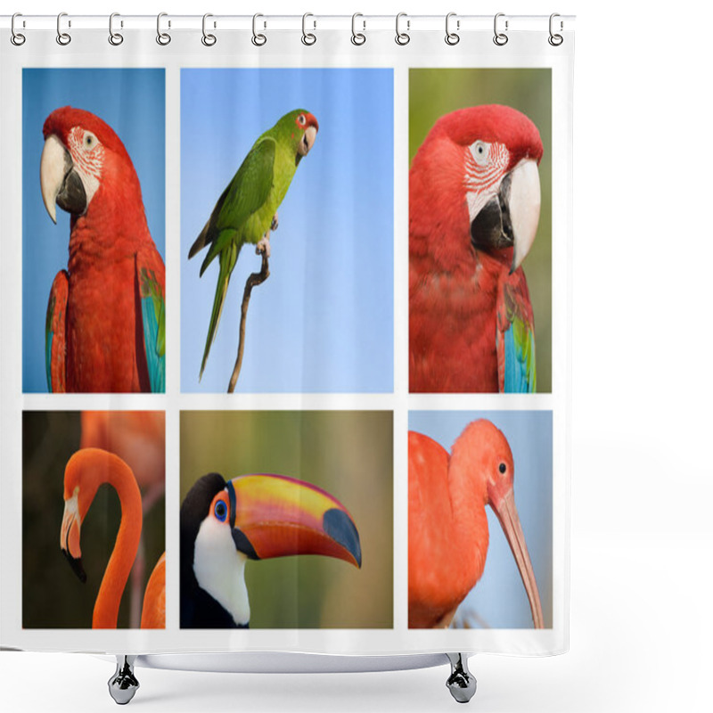 Personality  Different Tropical Birds Collection 1. Shower Curtains