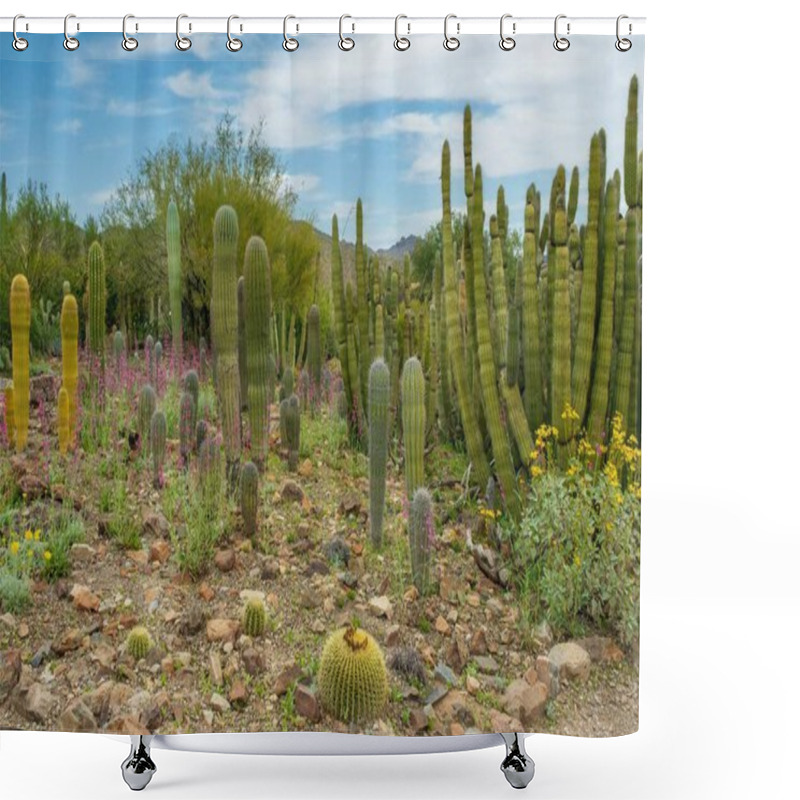 Personality  Scenes From The Sonoran Desert Outside Of Tucson Arizona Including Multiple Types Of Cacti And Desert Wildflowers. Shower Curtains