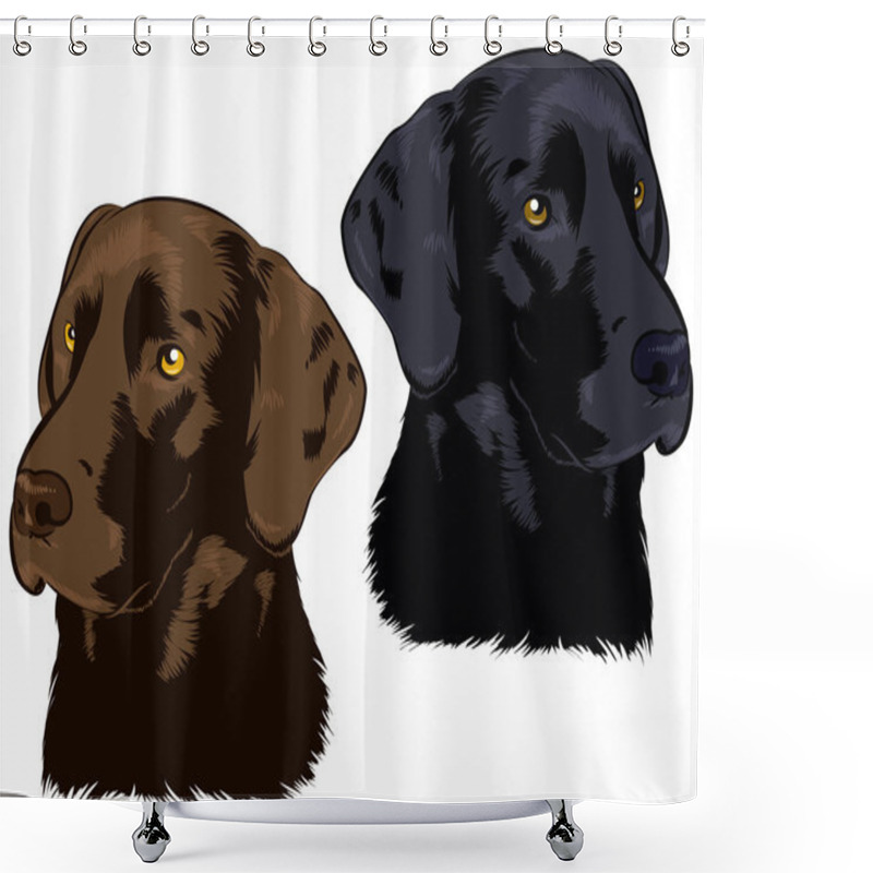 Personality  Chocolate And Black Labs Shower Curtains