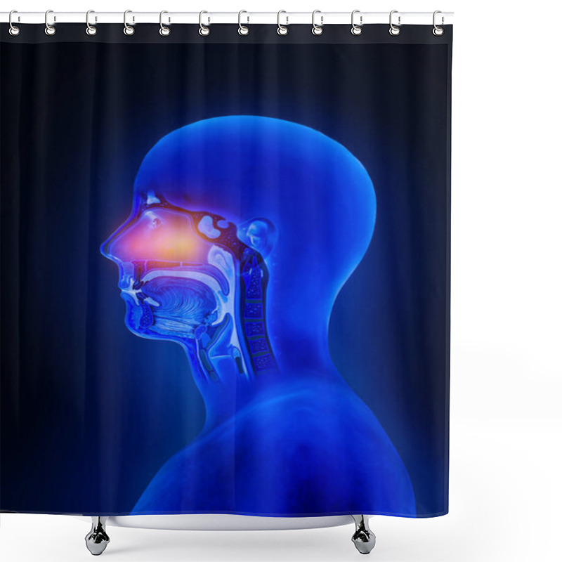 Personality  Flu - Full Nose Human Sinuses Anatomy, Colds, Allergies, Nasal Anatomy, Flu,sinusitis,treatment Of The Upper Respiratory Tract, 3d Render, Illustration Shower Curtains