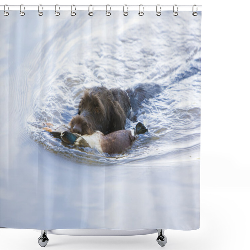 Personality  Hunting Dog With A Catch Shower Curtains