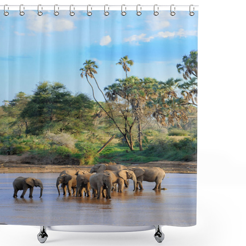 Personality  Elephant Shower Curtains