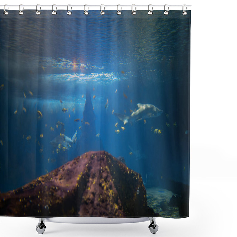 Personality  Underwater World. Coral Reef With Fish. Shower Curtains