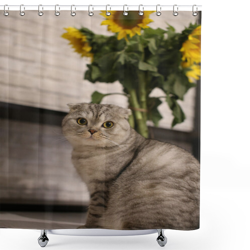 Personality  Cute Scottish Fold Cat Sitting Next To The Sunflowers Shower Curtains