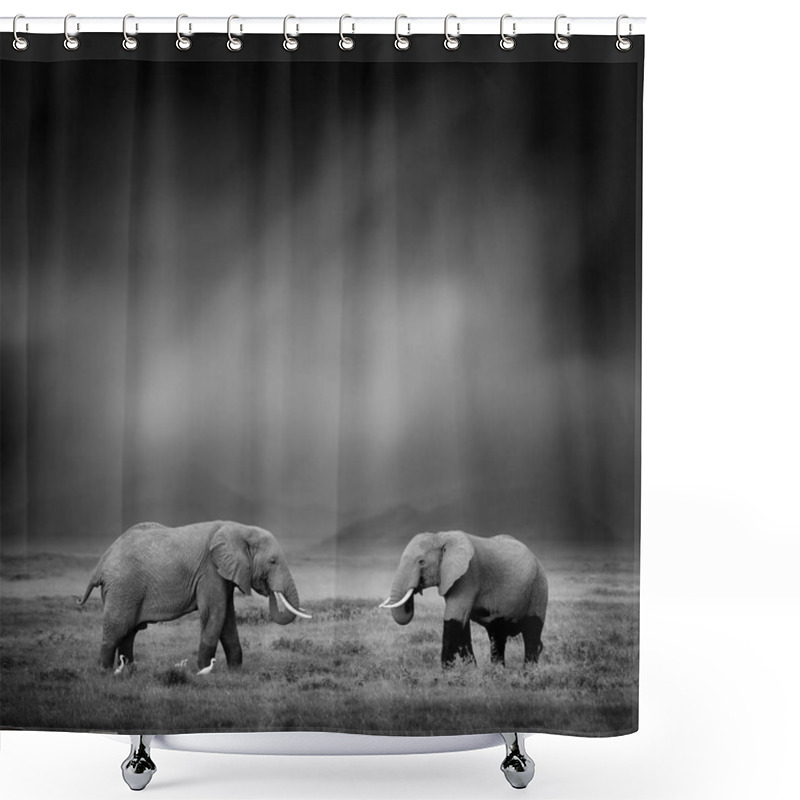 Personality  Black And White Image Of A Elephant Shower Curtains