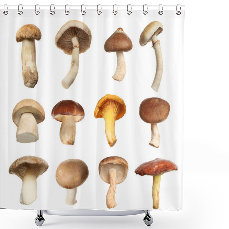 Personality  Set Of Different Fresh Mushrooms On White Background Shower Curtains