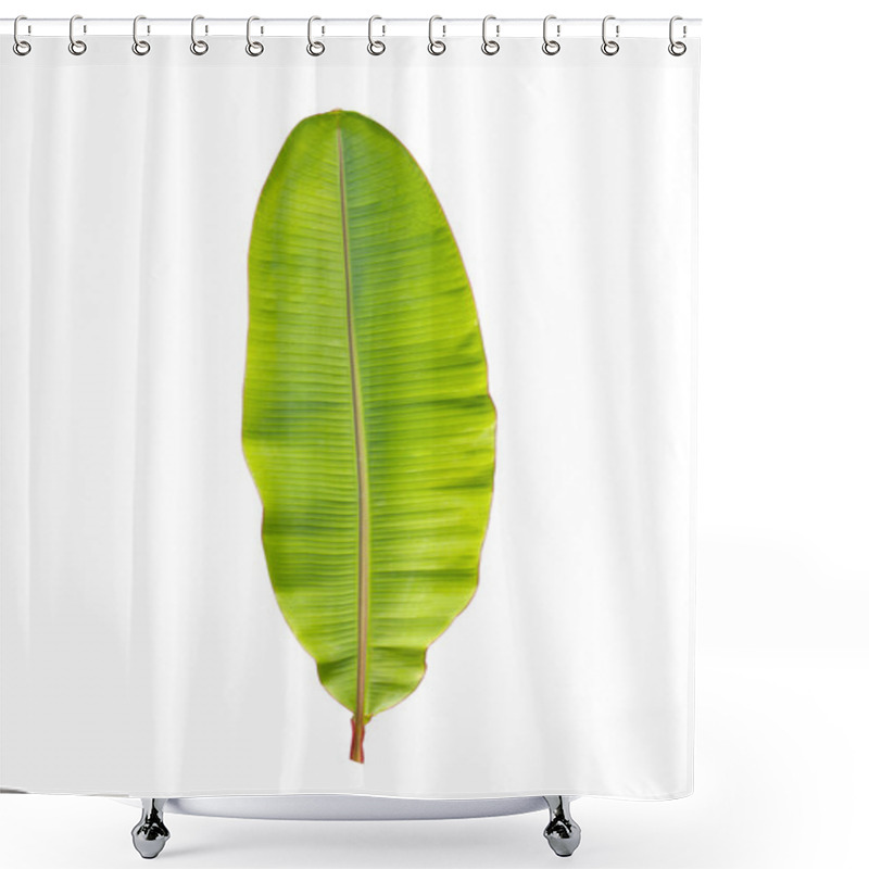 Personality  Green Banana Leaf Shower Curtains