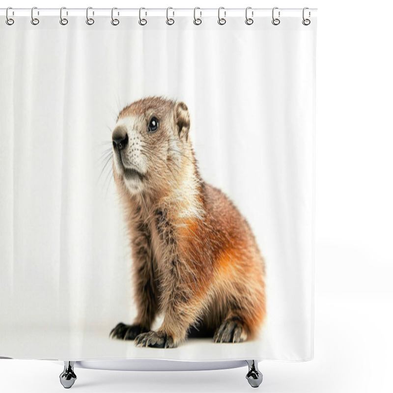 Personality  Cute Groundhog On A White Background. Groundhog Day. Generative AI. Shower Curtains