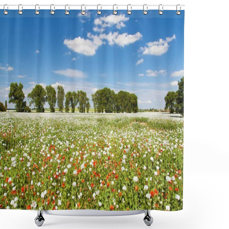 Personality  Flowering Opium Poppy Field In Latin Papaver Somniferum, Poppy Field Weeded With Red Poppies, White Colored Poppy Is Grown In Czech Republic For Food Industry Shower Curtains