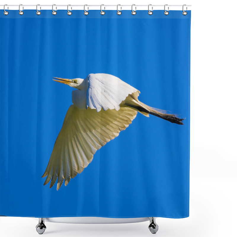 Personality  Great Egret In Flight With Wings Down Shower Curtains