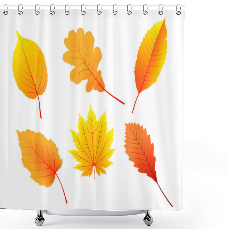 Personality  Set Of Autumn Leaves From Different Kind Of Trees Or Fall Foliage Shower Curtains