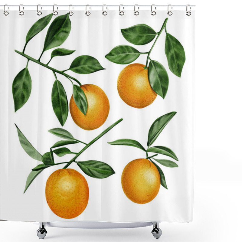 Personality  Branches With Oranges. Four Stems With Leaves And Fruits. Lots Of Green Leaves. Juicy Fruits. Watercolor Illustration. No Background. Shower Curtains