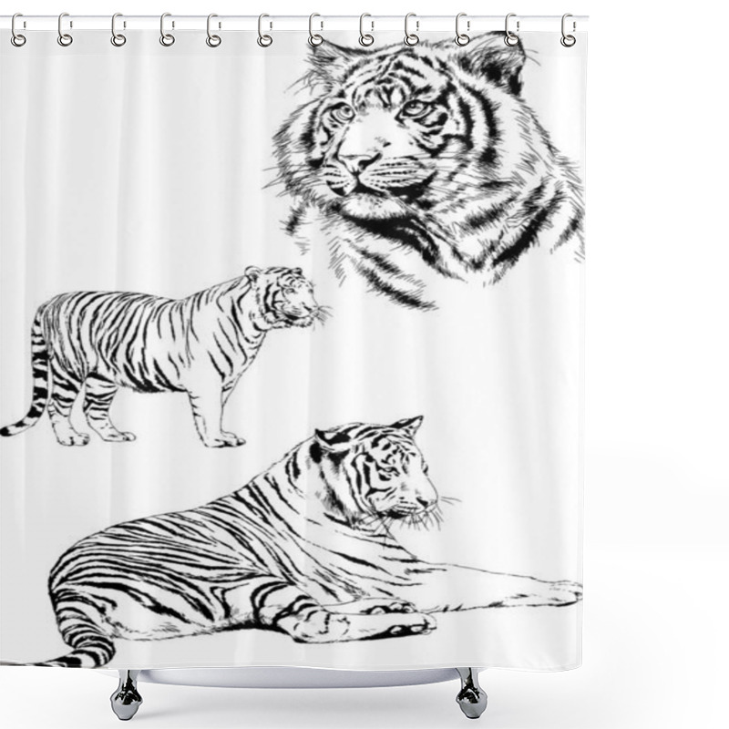 Personality  Set Of Vector Drawings On The Theme Of Predators Tigers Are Drawn By Hand With Ink Tattoo Logos Shower Curtains