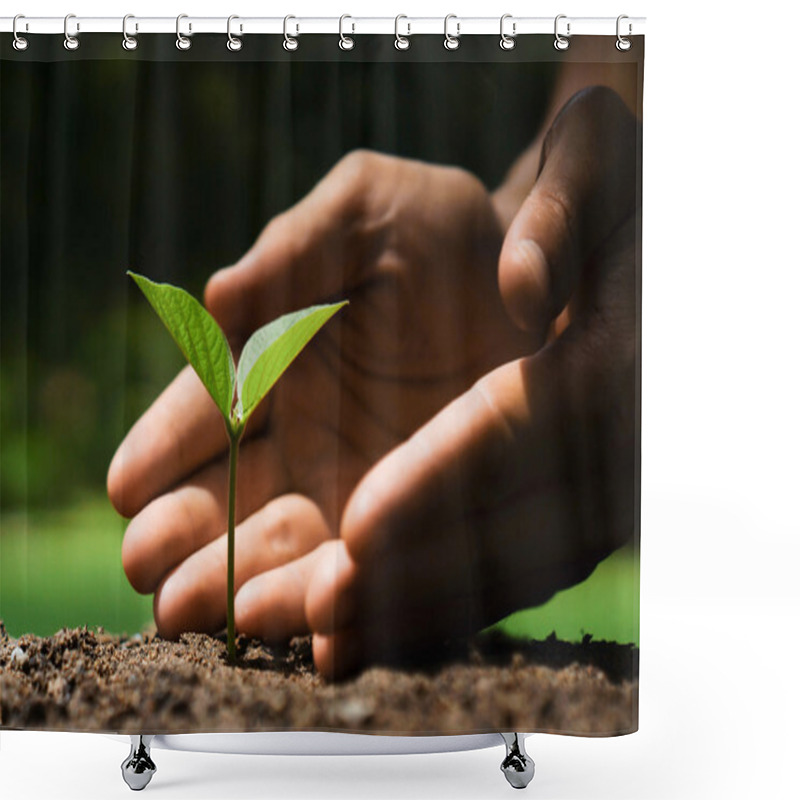 Personality  Growing A Young Plant Shower Curtains