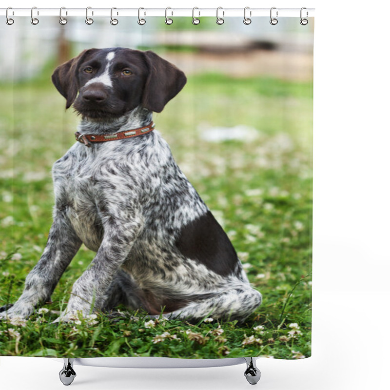 Personality  Hunting Dog Shower Curtains