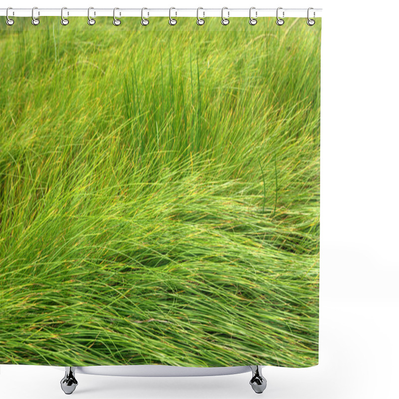 Personality  Grass Background Shower Curtains