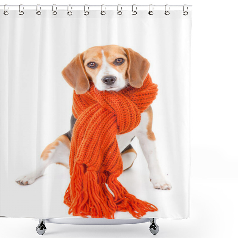 Personality  Winter Dog Shower Curtains