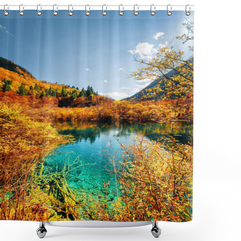 Personality  Autumn Forest Reflected In Amazing Pond With Azure Water Shower Curtains