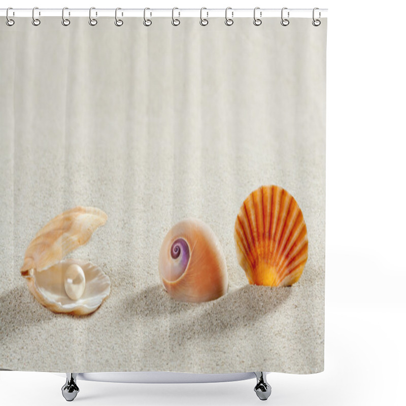 Personality  Beach Summer Vacation Background Shell Pearl Clam Shower Curtains