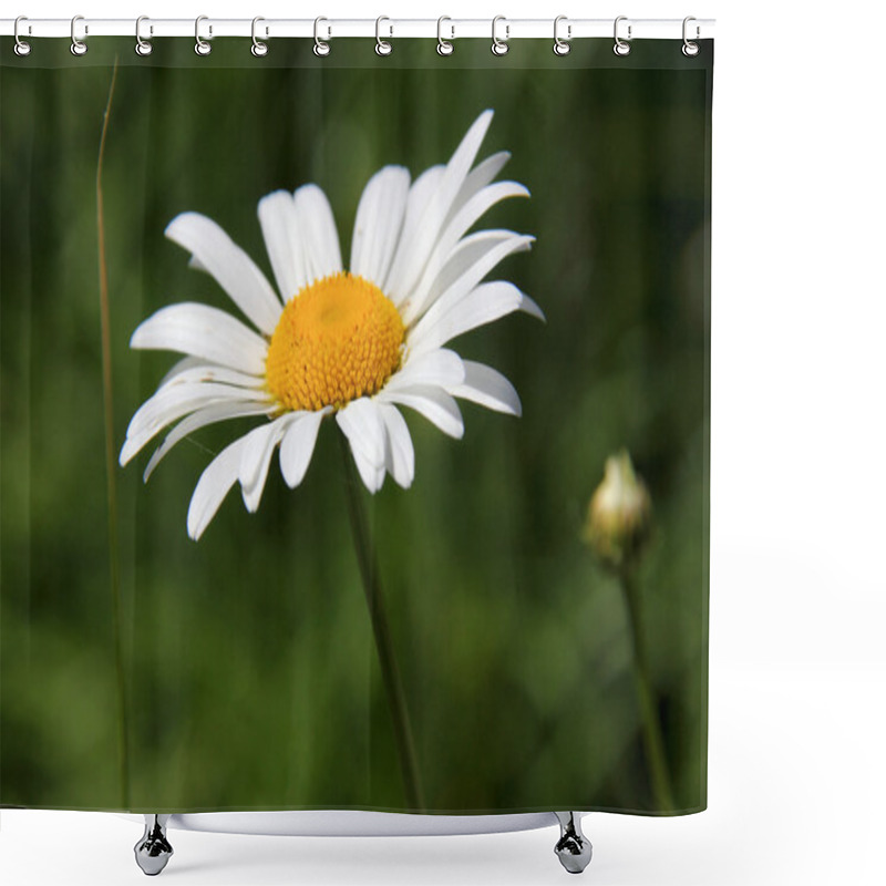 Personality  Camomile. Shower Curtains