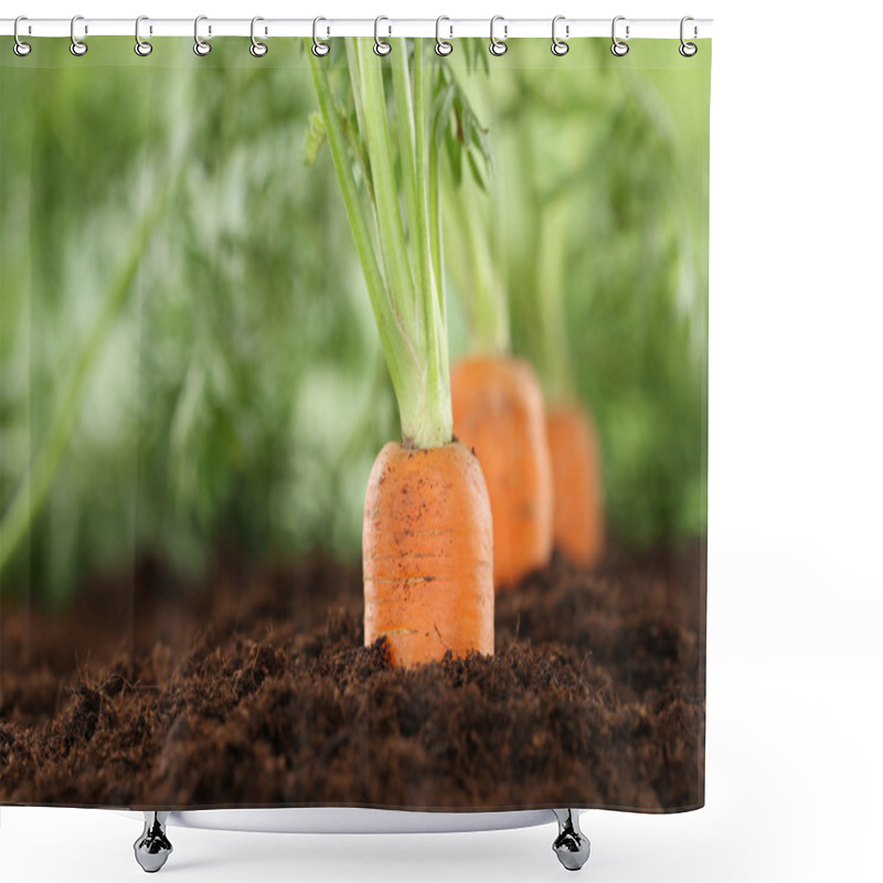 Personality  Healthy Eating Carrots In Vegetable Garden Shower Curtains