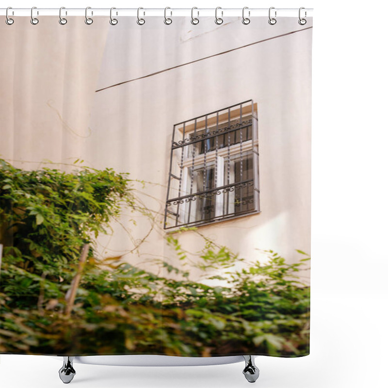 Personality  Low Angle View Of Facade Of Building With Window And Plant Shower Curtains