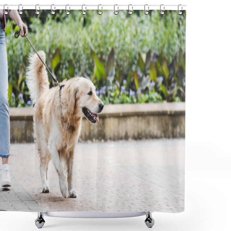 Personality  Cropped View Of Girl In Casual Clothes Waking In Park With Golden Retriever Shower Curtains