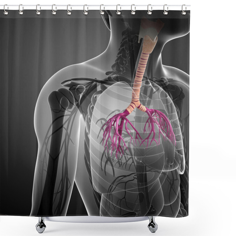 Personality  Male Throat Anatomy Shower Curtains