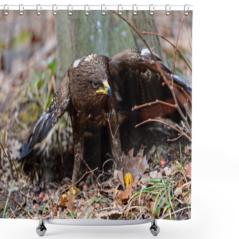 Personality  Eagle Shower Curtains