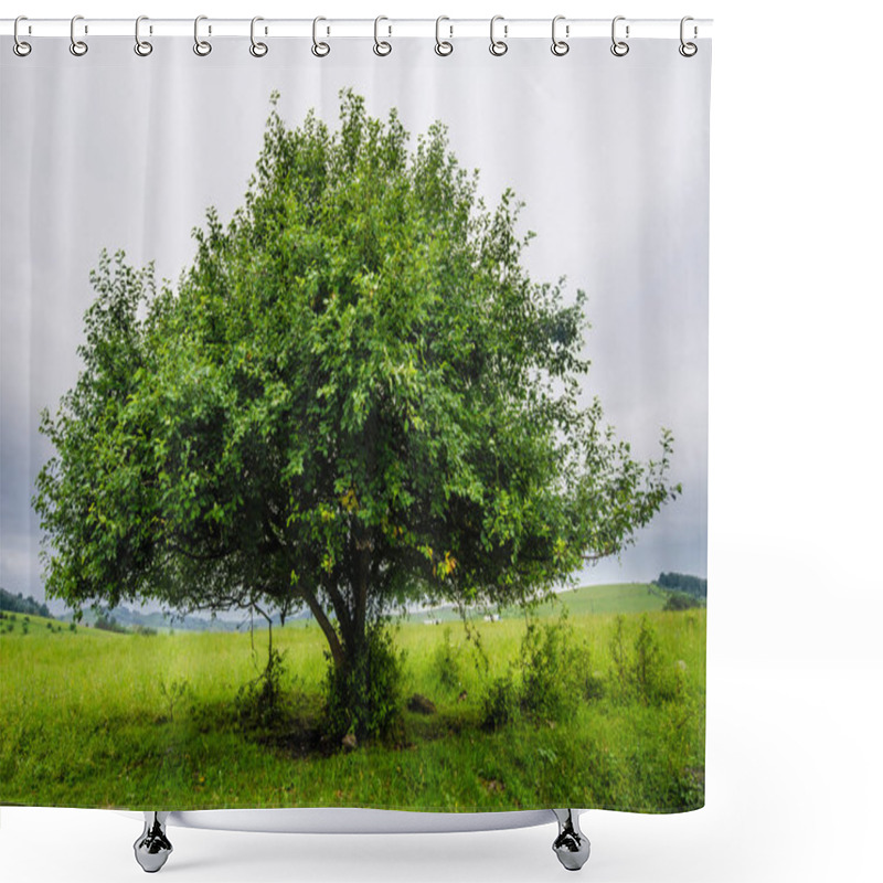 Personality  Beautiful View And Background. Shower Curtains