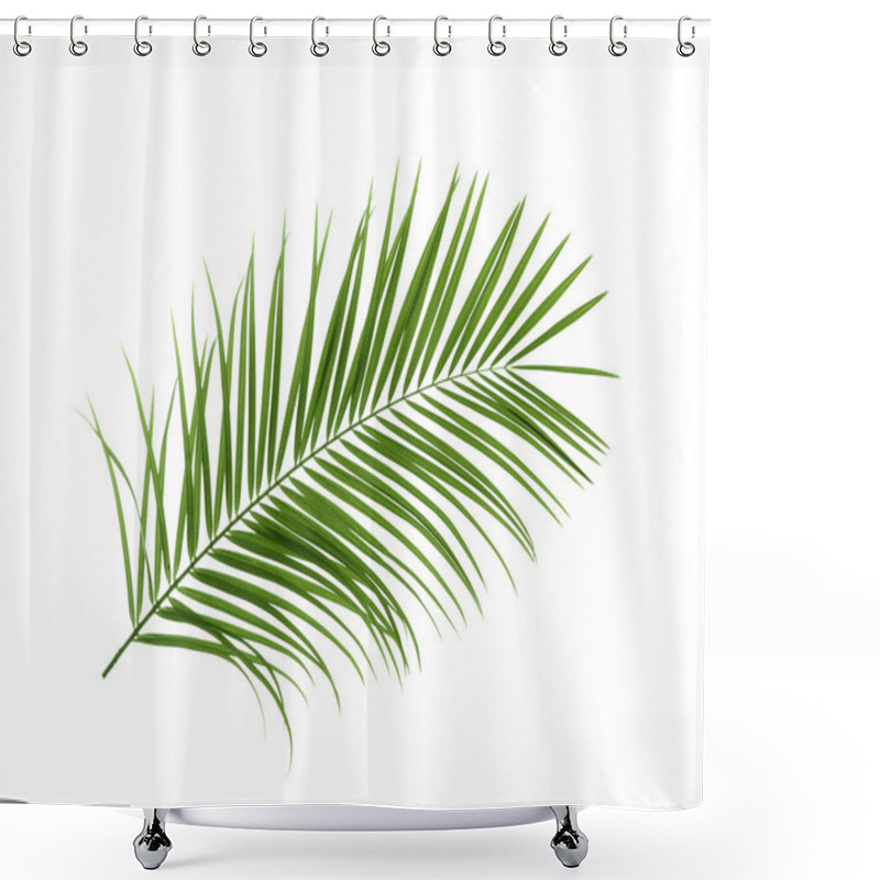 Personality  Beautiful Tropical Sago Palm Leaf On White Background Shower Curtains