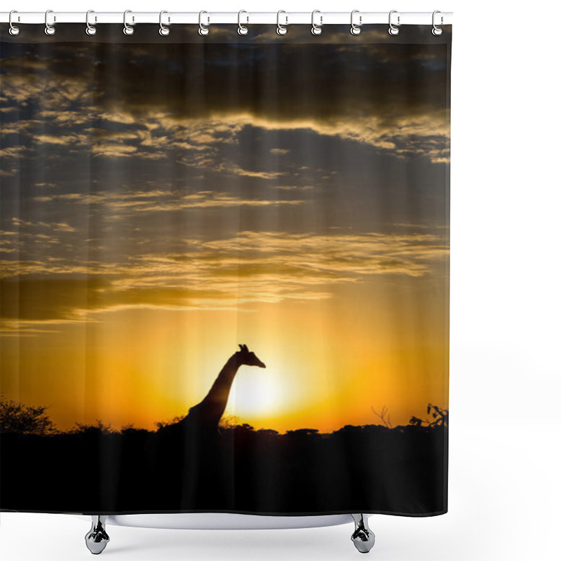 Personality  Nice Giraffe During Early Hours Shower Curtains