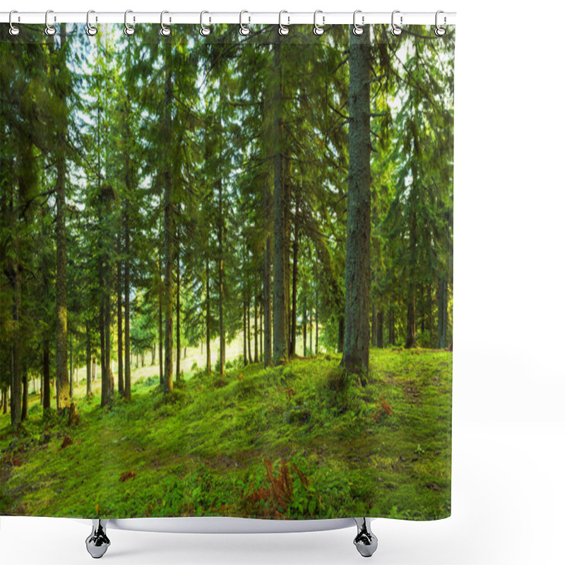 Personality  Sunlight In The Green Forest, Spring Time Shower Curtains