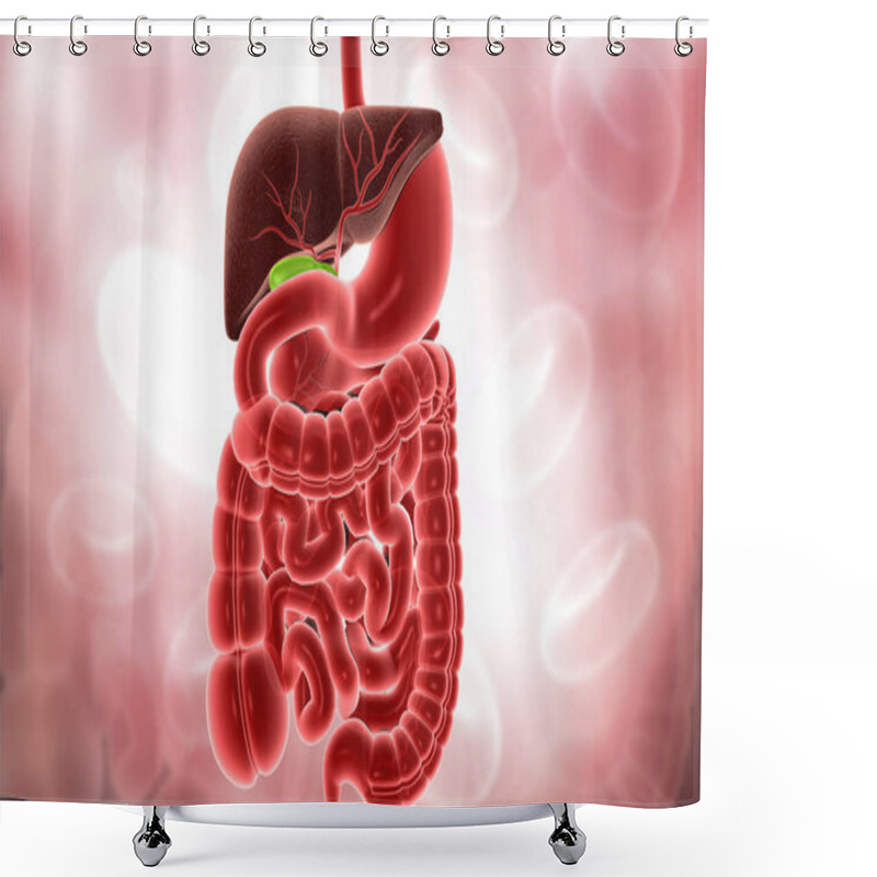 Personality  Human Digestive System Science Background. 3d Illustration Shower Curtains