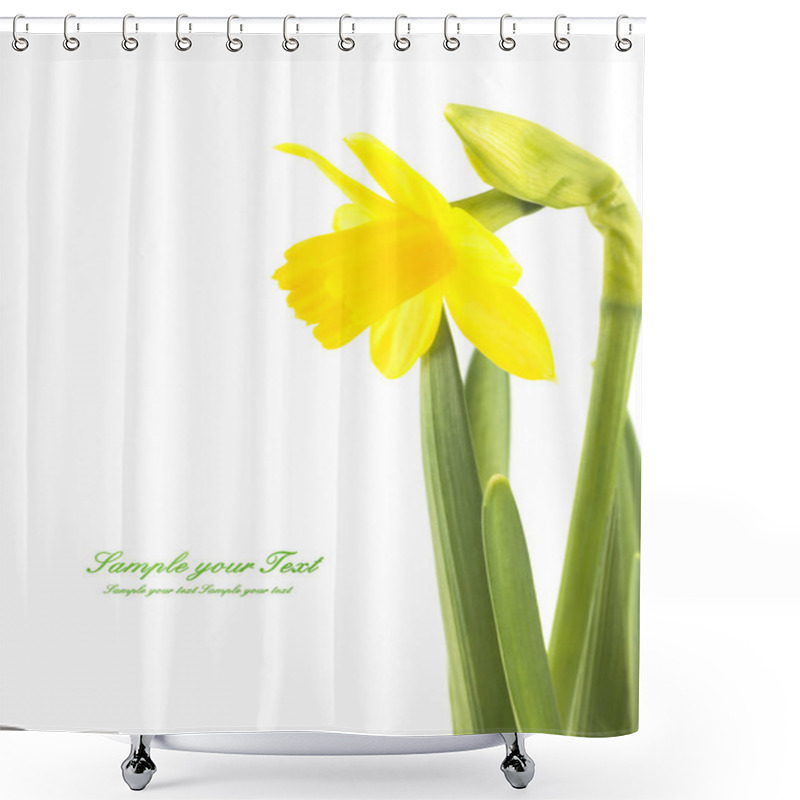 Personality  Beautiful Fresh Narcissus Flowers Shower Curtains