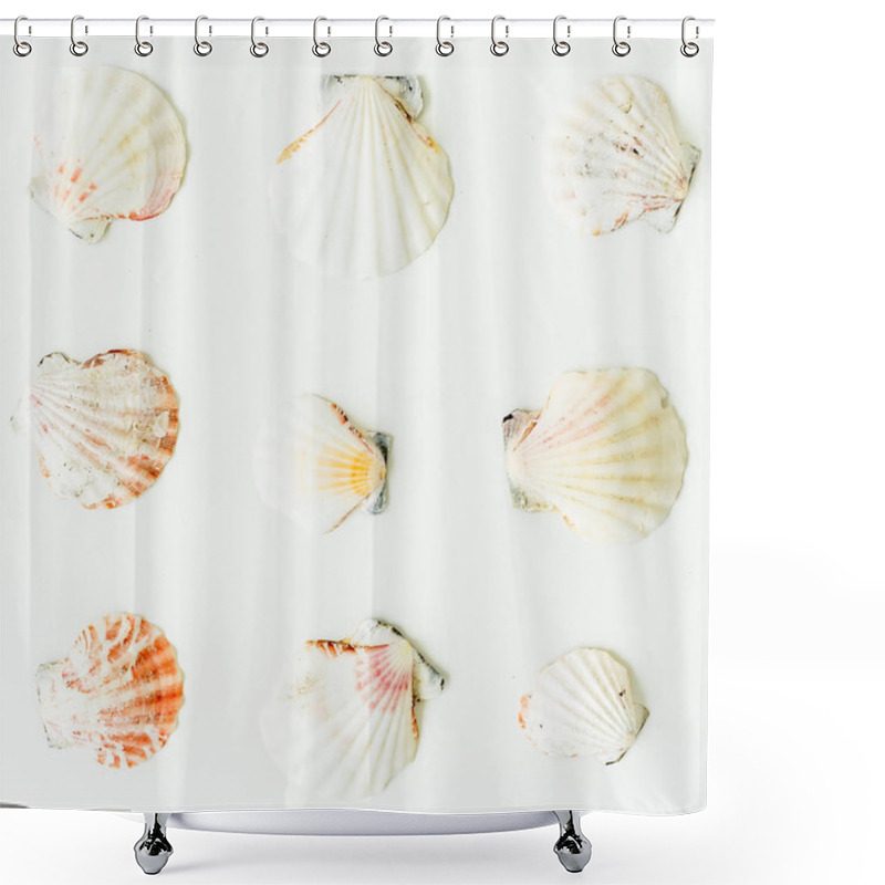 Personality  Set Of Various Sea Shells Shower Curtains