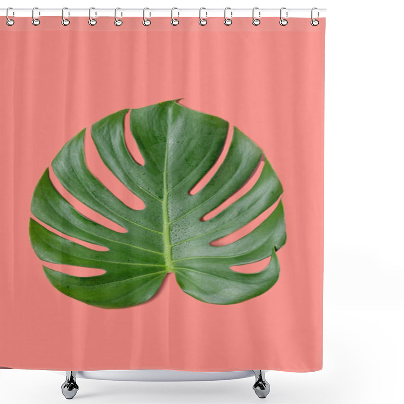 Personality  Tropical Jungle Monstera Leaf Shower Curtains