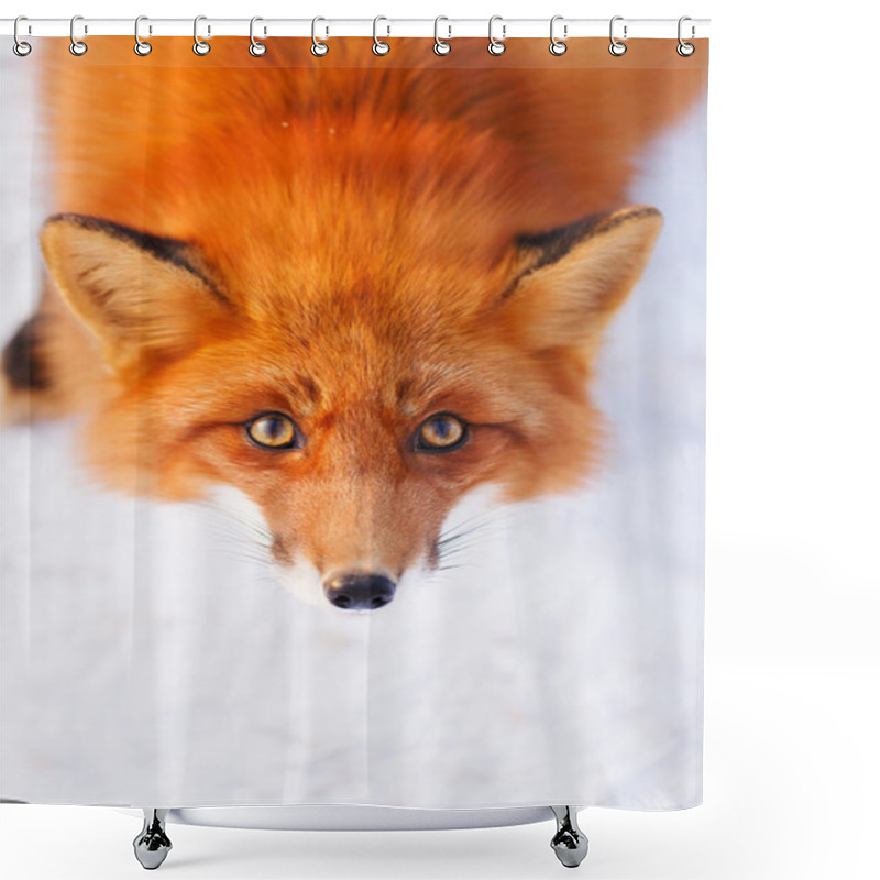 Personality  Animal Shower Curtains