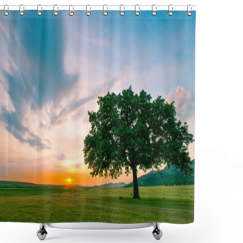 Personality  Beautiful And Old Oak At The Sunset Shower Curtains